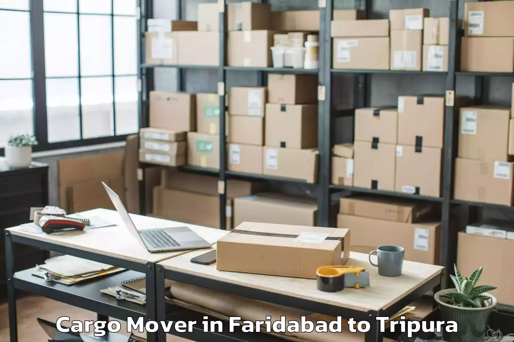 Easy Faridabad to Nit Agartala Cargo Mover Booking